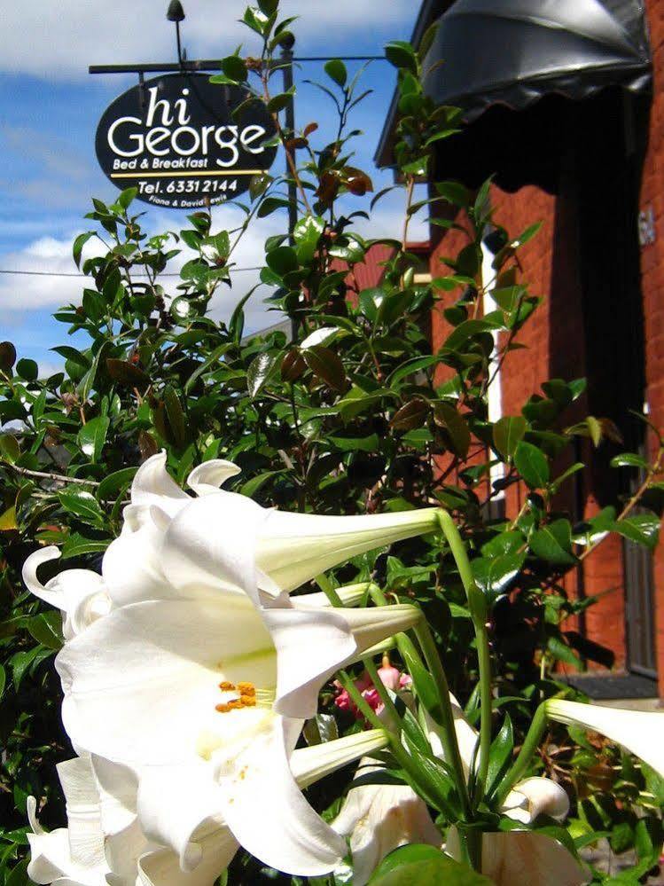 Hi George B&B Launceston Bagian luar foto